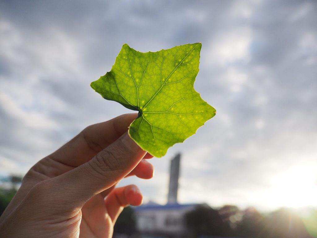 importancia de la calidad de aire interior